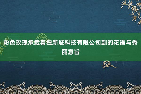 粉色玫瑰承载着独新城科技有限公司到的花语与秀丽意旨