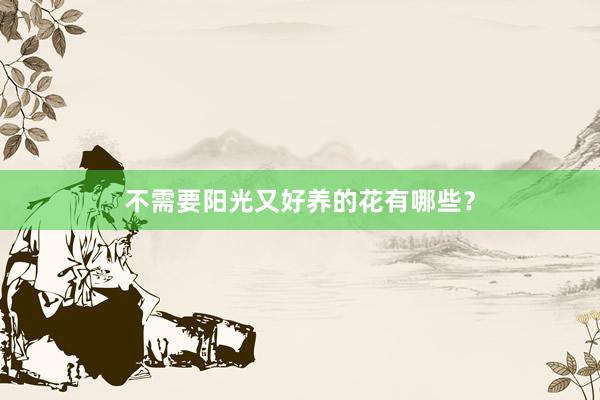 不需要阳光又好养的花有哪些？