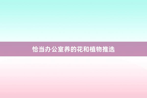 恰当办公室养的花和植物推选