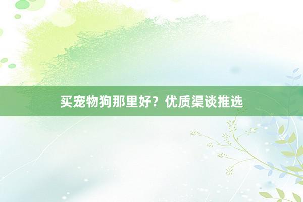 买宠物狗那里好?优质渠谈推选