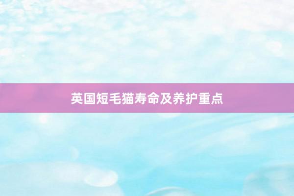 英国短毛猫寿命及养护重点