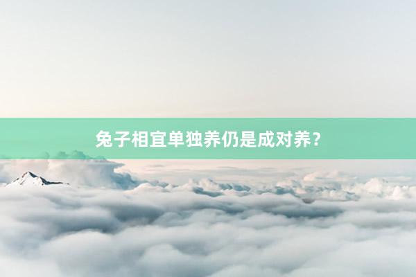 兔子相宜单独养仍是成对养？
